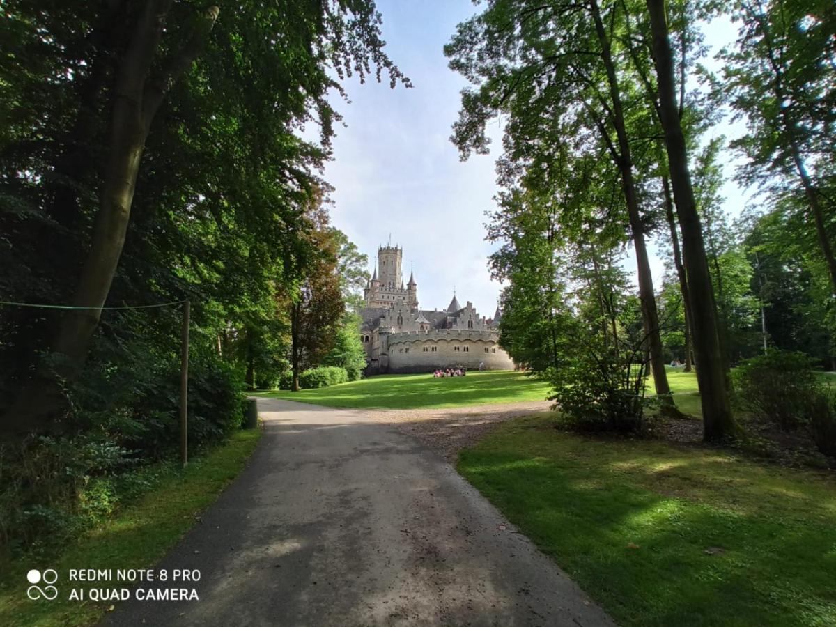 Ferienwohnung Colin Im Schoenen Weserbergland Naehe Freizeitpark Salzhemmendorf 外观 照片